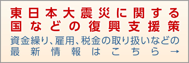 東日本大震災に関する国などの復興支援策